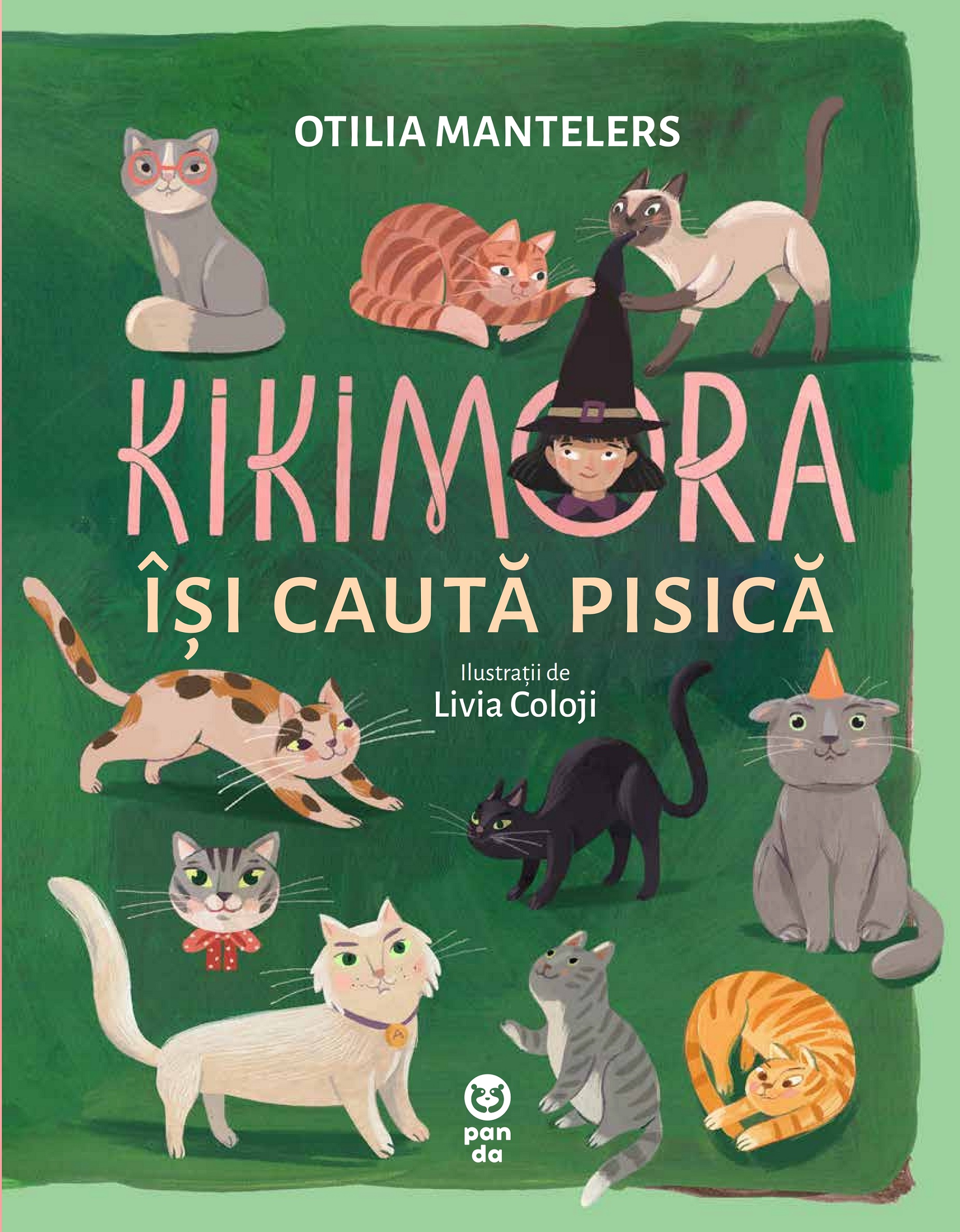 Kikimora își caută pisică